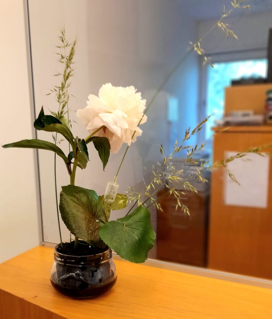 6. Juni ist Tag des Ikebana der Sogetsu Schule mit dem Ziel Arrangements in der Öffentlichkeit auszustellen
Arrangment beim Hausarzt